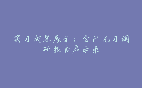 实习成果展示：会计见习调研报告启示录