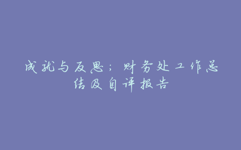成就与反思:财务处工作总结及自评报告