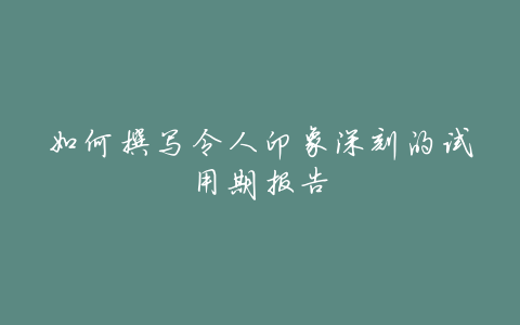 如何撰写令人印象深刻的试用期报告