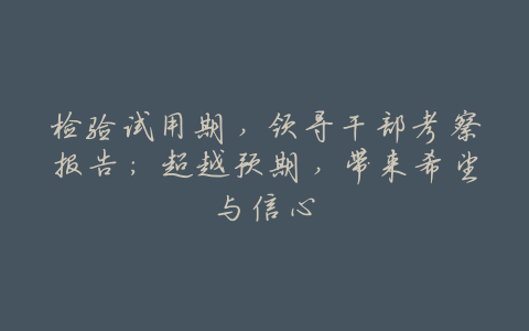 检验试用期，领导干部考察报告：超越预期，带来希望与信心