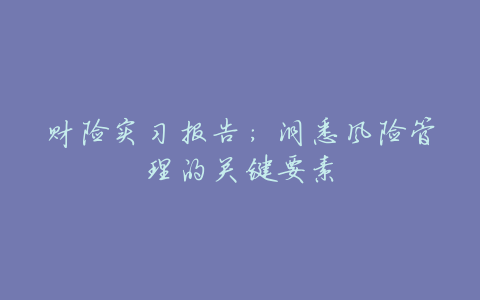 财险实习报告:洞悉风险管理的关键要素