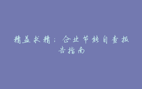 精益求精:企业节能自查报告指南