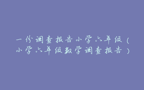 一份调查报告小学六年级(小学六年级数学调查报告)