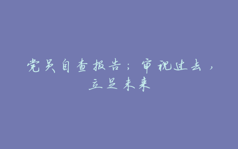 党员自查报告:审视过去,立足未来