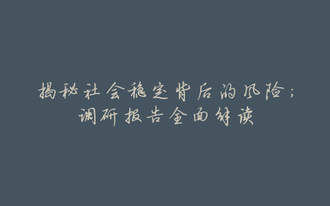揭秘社会稳定背后的风险:调研报告全面解读