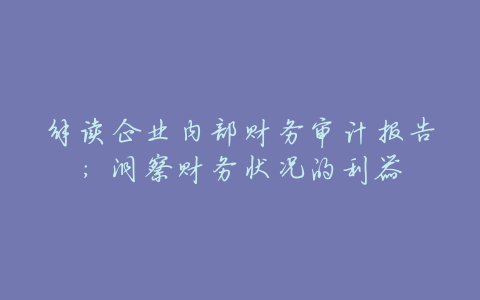 解读企业内部财务审计报告:洞察财务状况的利器