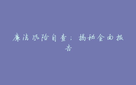 廉洁风险自查:揭秘全面报告