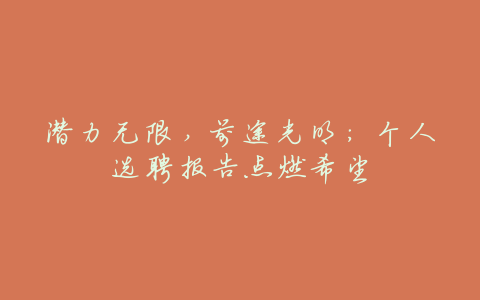 潜力无限,前途光明:个人选聘报告点燃希望