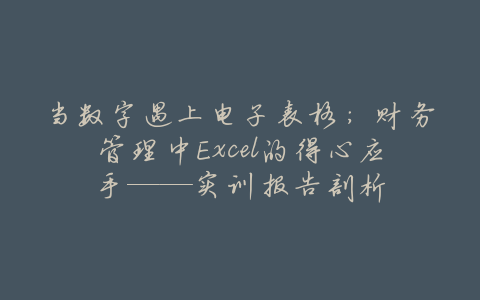 当数字遇上电子表格:财务管理中Excel的得心应手——实训报告剖析