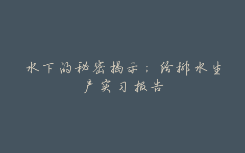 水下的秘密揭示:给排水生产实习报告