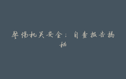 警惕机关安全:自查报告揭秘