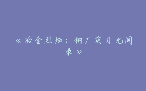 《冶金烈焰:钢厂实习见闻录》