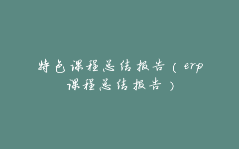 特色课程总结报告(erp课程总结报告)