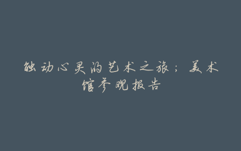 触动心灵的艺术之旅:美术馆参观报告