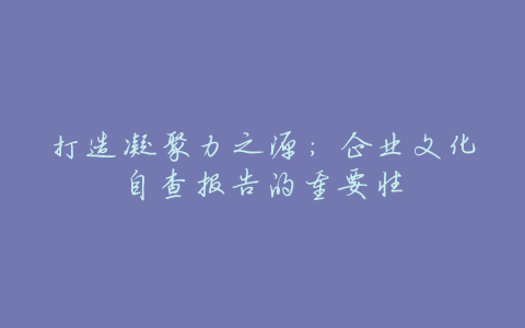 打造凝聚力之源:企业文化自查报告的重要性