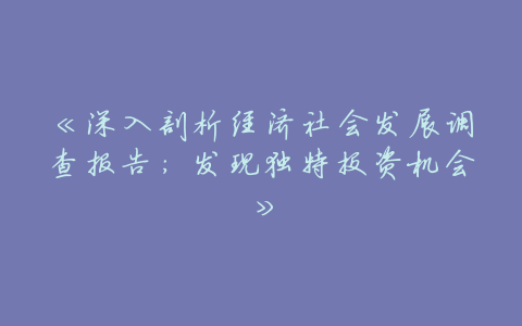 《深入剖析经济社会发展调查报告：发现独特投资机会》