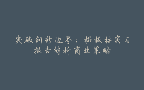 突破创新边界:招投标实习报告解析商业策略