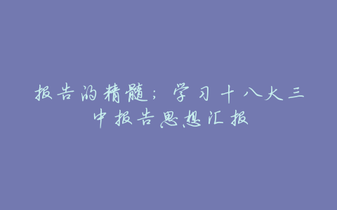 报告的精髓:学习十八大三中报告思想汇报