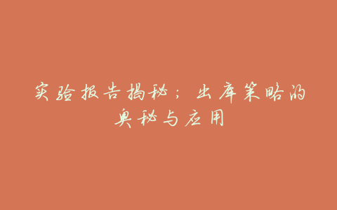 实验报告揭秘:出库策略的奥秘与应用