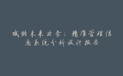 赋能未来业务:精准管理信息系统分析设计报告