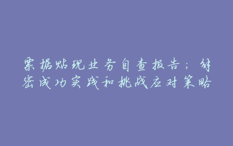 票据贴现业务自查报告:解密成功实践和挑战应对策略