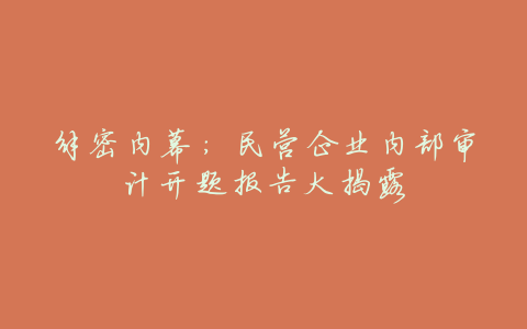 解密内幕:民营企业内部审计开题报告大揭露
