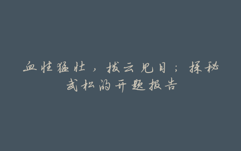 血性猛壮,拨云见日:探秘武松的开题报告