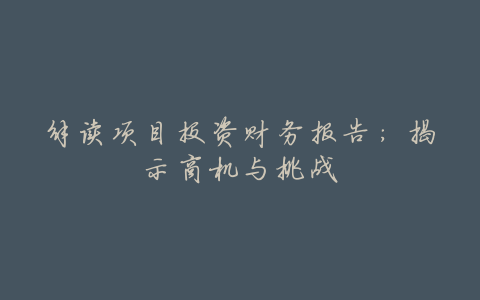 解读项目投资财务报告:揭示商机与挑战
