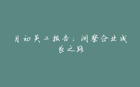月初员工报告:洞察企业成长之路