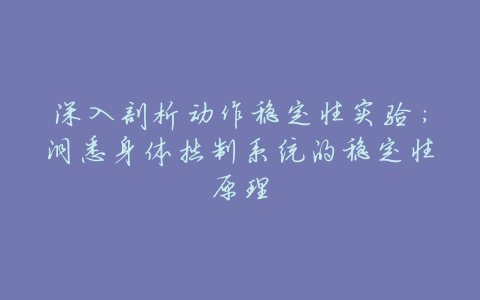 深入剖析动作稳定性实验:洞悉身体控制系统的稳定性原理