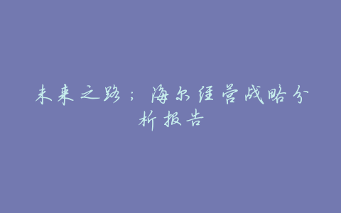 未来之路:海尔经营战略分析报告