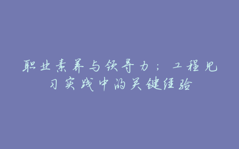 职业素养与领导力:工程见习实践中的关键经验
