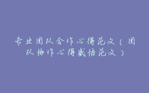 专业团队合作心得范文(团队协作心得感悟范文)