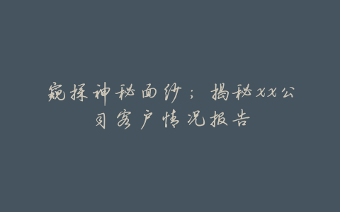 窥探神秘面纱:揭秘xx公司客户情况报告