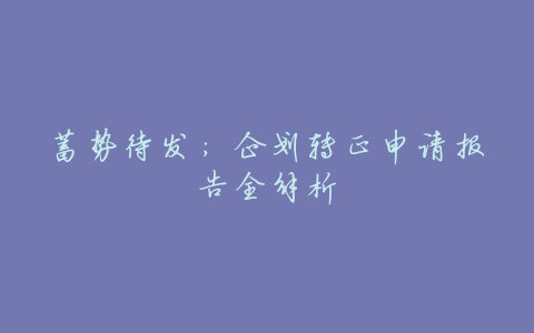 蓄势待发:企划转正申请报告全解析