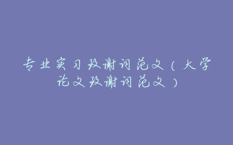 专业实习致谢词范文(大学论文致谢词范文)