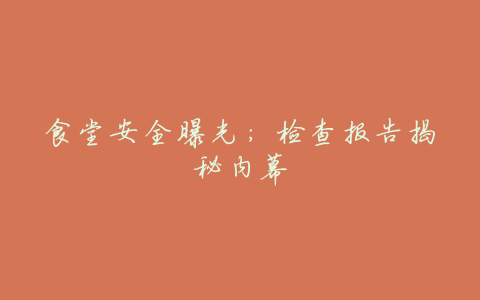 食堂安全曝光:检查报告揭秘内幕