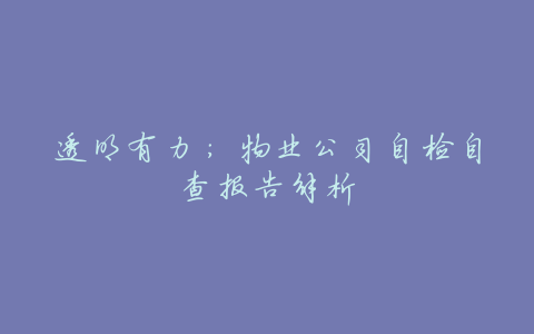 透明有力:物业公司自检自查报告解析