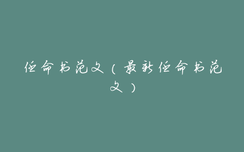 任命书范文（最新任命书范文）