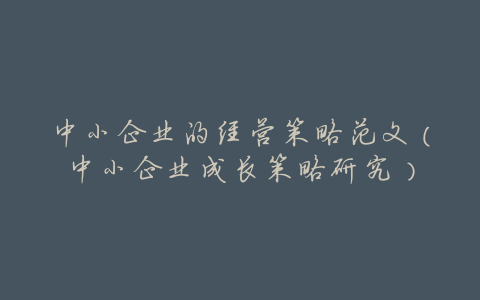 中小企业的经营策略范文(中小企业成长策略研究)