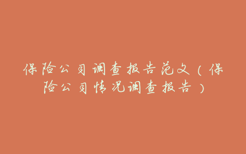 保险公司调查报告范文(保险公司情况调查报告)