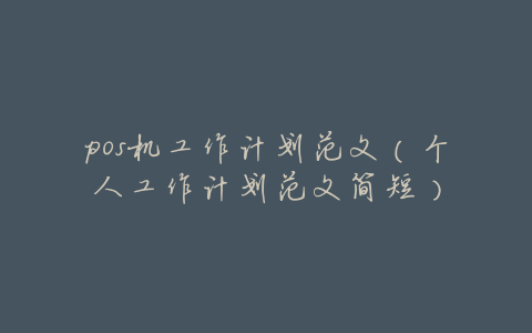 pos机工作计划范文（个人工作计划范文简短）