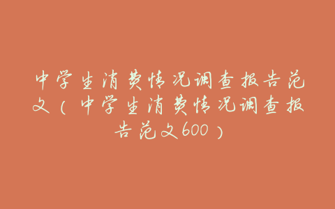 中学生消费情况调查报告范文(中学生消费情况调查报告范文600)