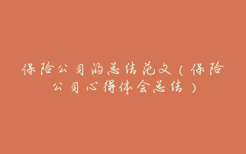 保险公司的总结范文(保险公司心得体会总结)