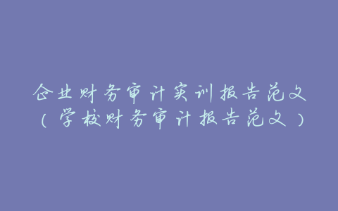 企业财务审计实训报告范文(学校财务审计报告范文)