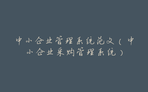 中小企业管理系统范文(中小企业采购管理系统)