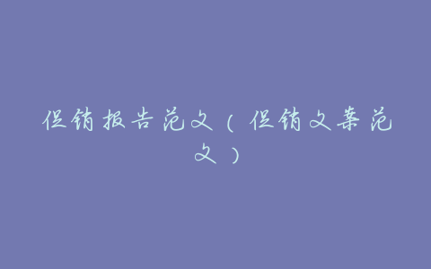 促销报告范文(促销文案范文)
