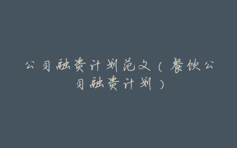 公司融资计划范文(餐饮公司融资计划)