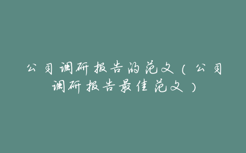 公司调研报告的范文(公司调研报告最佳范文)