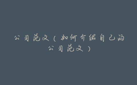 公司范文(如何介绍自己的公司范文)